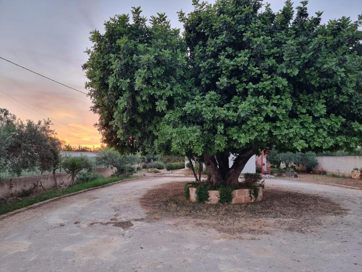 Al Vecchio Carrubo - Lovely 2-Rooms House & Patio مارسالا المظهر الخارجي الصورة